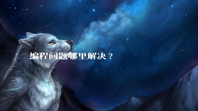编程问题哪里解决?